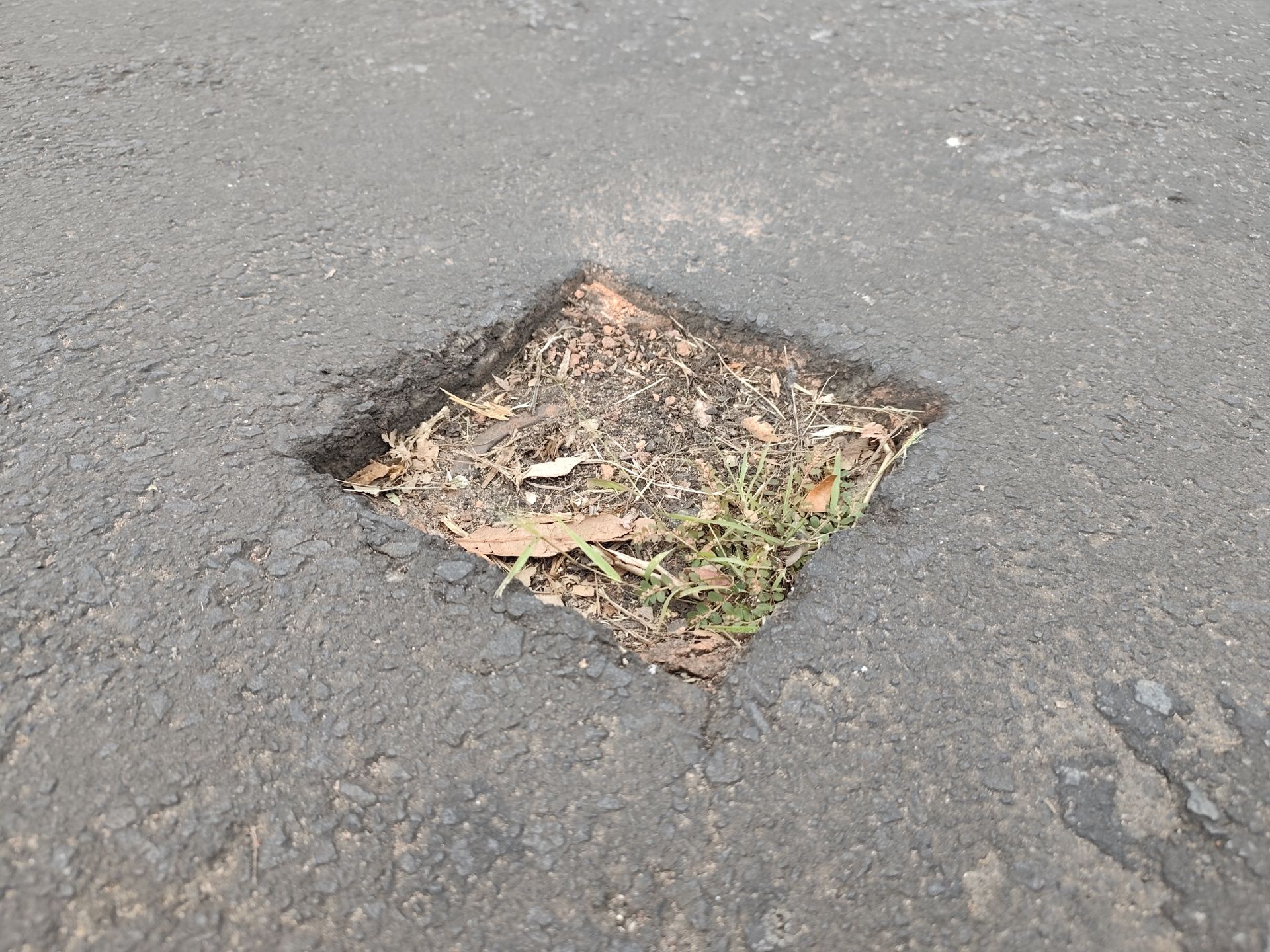 Foto da ocorrência